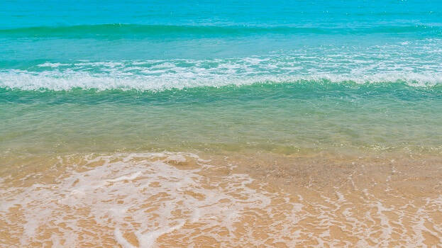 sea-shore
