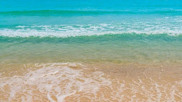 sea-shore sea-shore