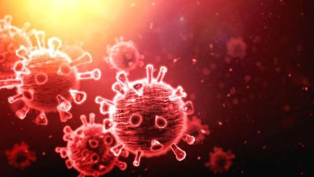 virus virus