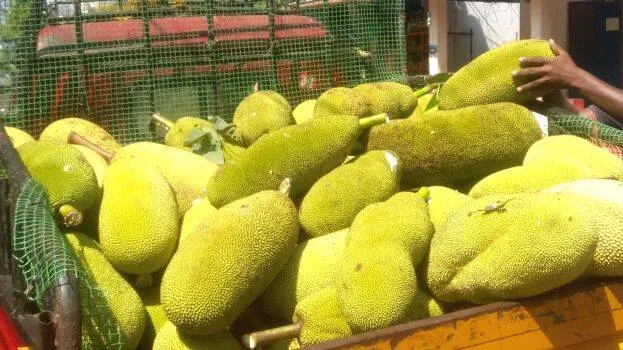 chakka chakka