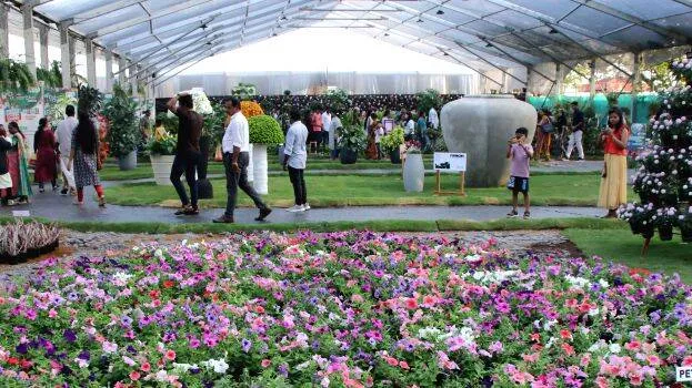 flower-show flower-show