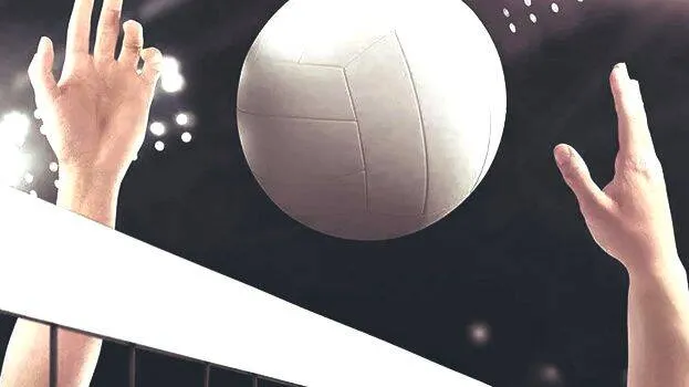 volley volley