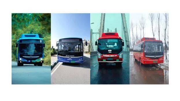 tatabus tatabus