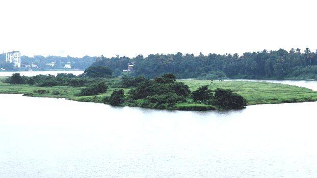 periyar