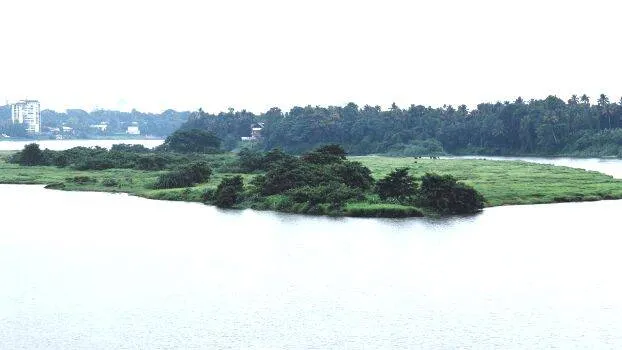 periyar