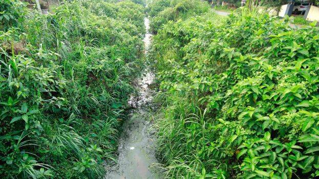 canal