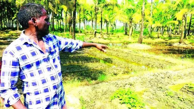 madakkal