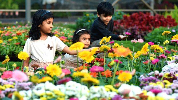 flower-show