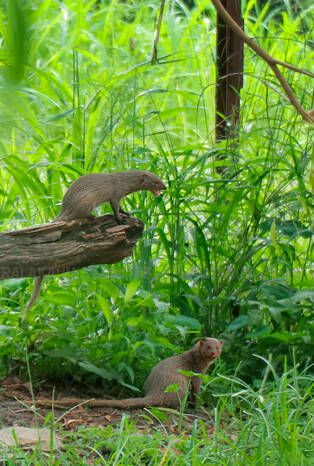 Kerala Kaumudi Photo Gallery