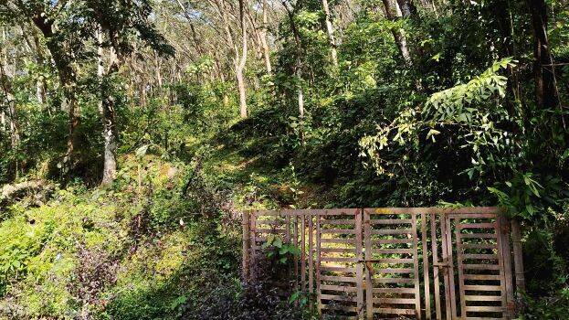 thottam