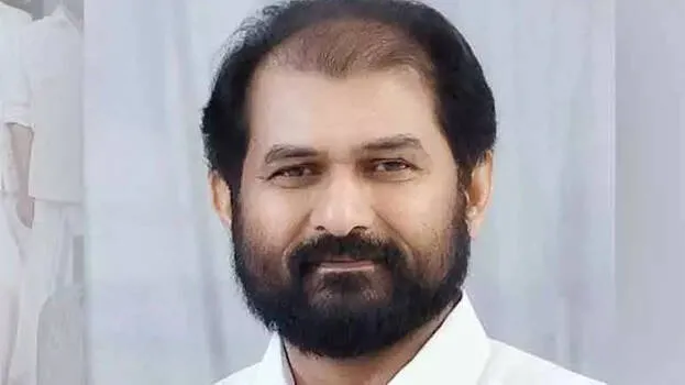 v-p-anil