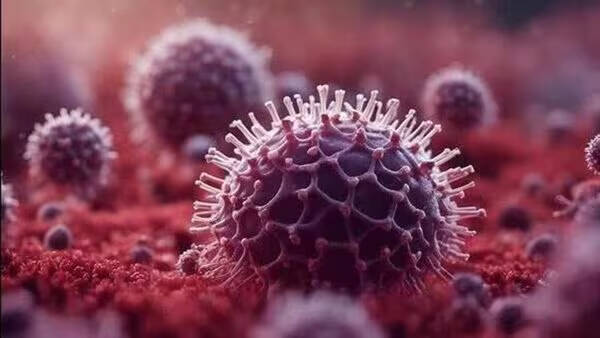 hmp-virus