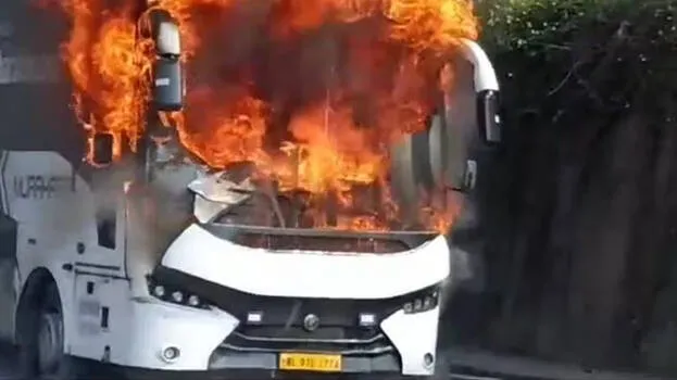 bus-