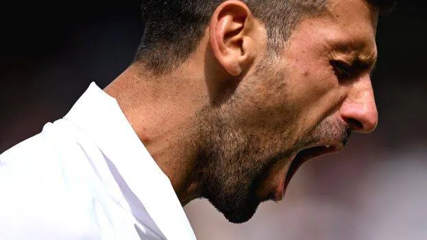 novak novak