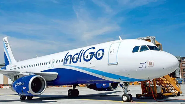 indigo