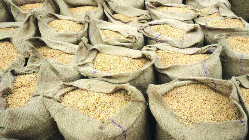 paddy-bags