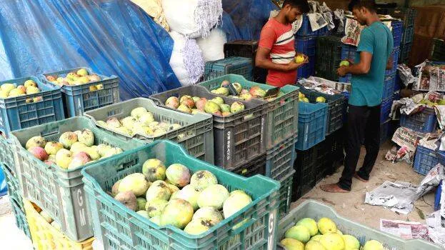 mango