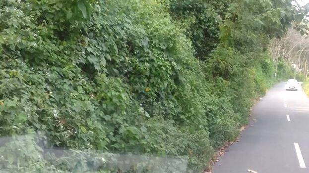 road-