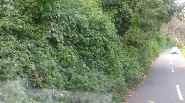 road- road-