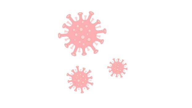 virus