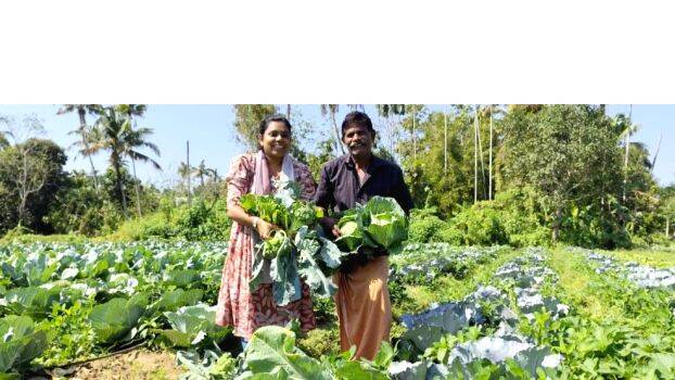 vegetables