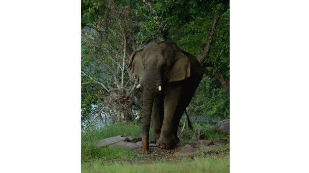 ezhattumugham-ganapathi ezhattumugham-ganapathi