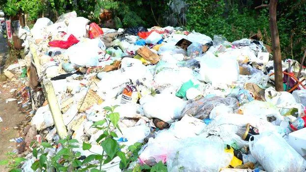 waste-