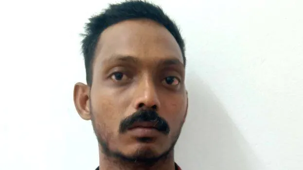 saju saju