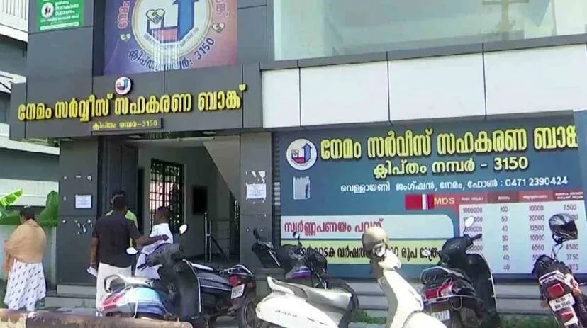 nemom nemom