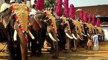 elephant-parading