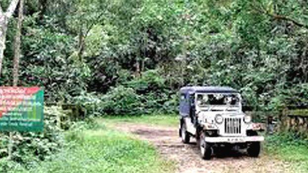 munnar