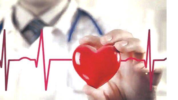 heart