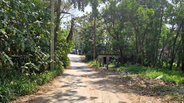 angamaly angamaly