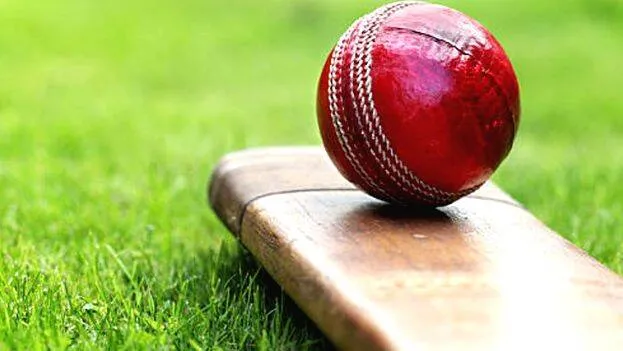 cricket cricket