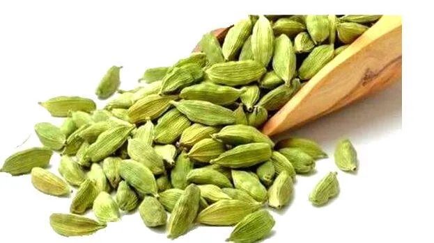 cardamom cardamom