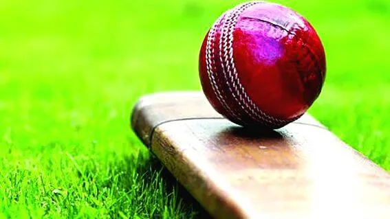 cricket