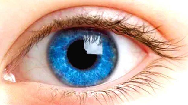 eye
