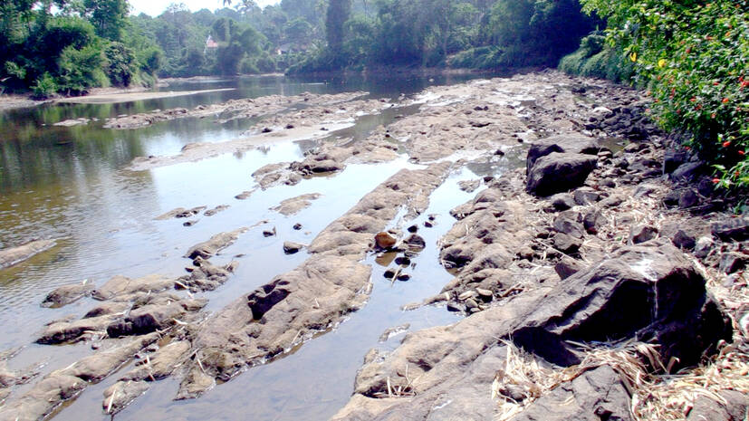 manimala