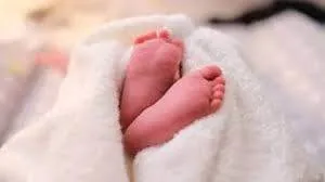 baby