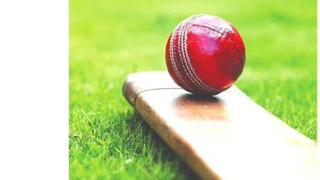 cricket