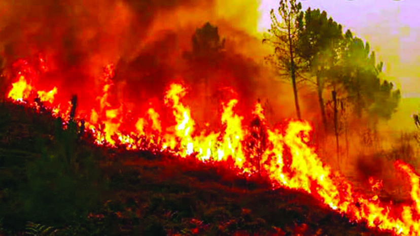 fire