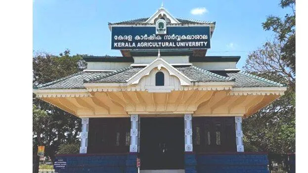 university