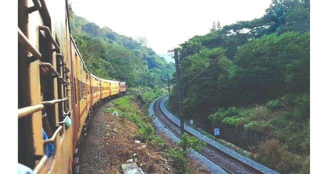 train