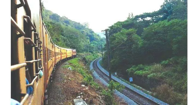 train