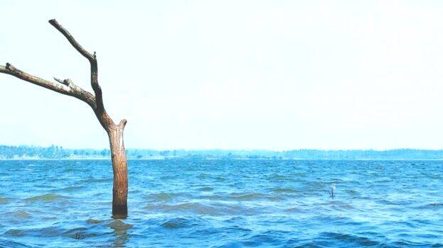 walayar