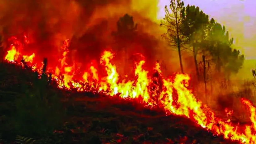 fire