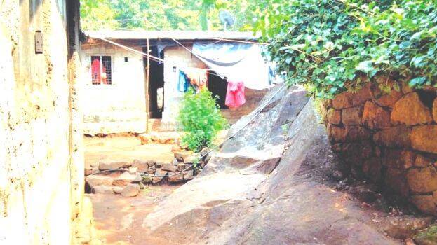 adivasi