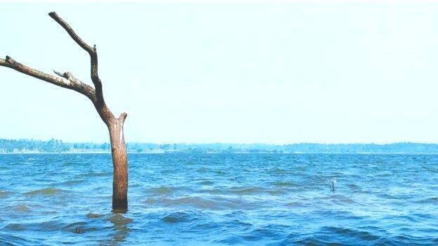 walayar