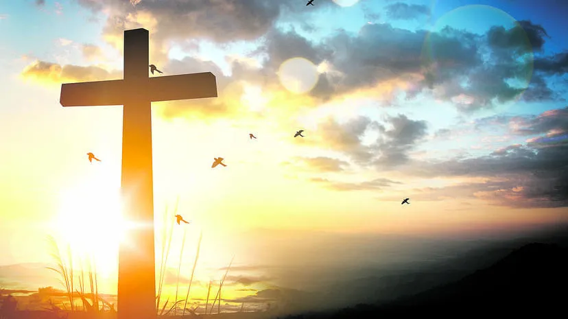 cross cross
