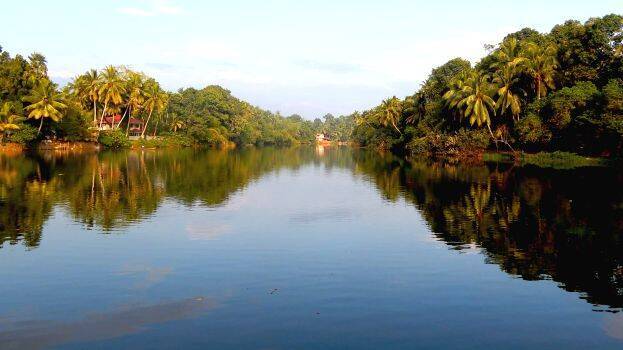 pamba